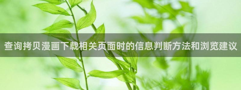 漫蛙漫画网页入口:查询拷贝漫画下载相关页面时的信息判断方法和浏览建议